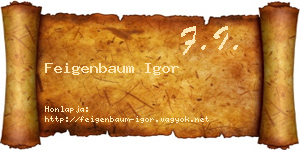 Feigenbaum Igor névjegykártya